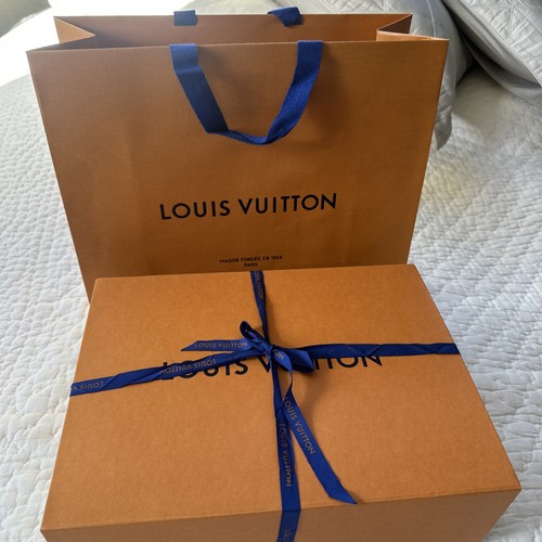 Louis vuitton empty bag - louis, gift