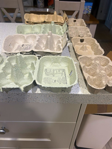 Empty paper pulp egg - pulp,